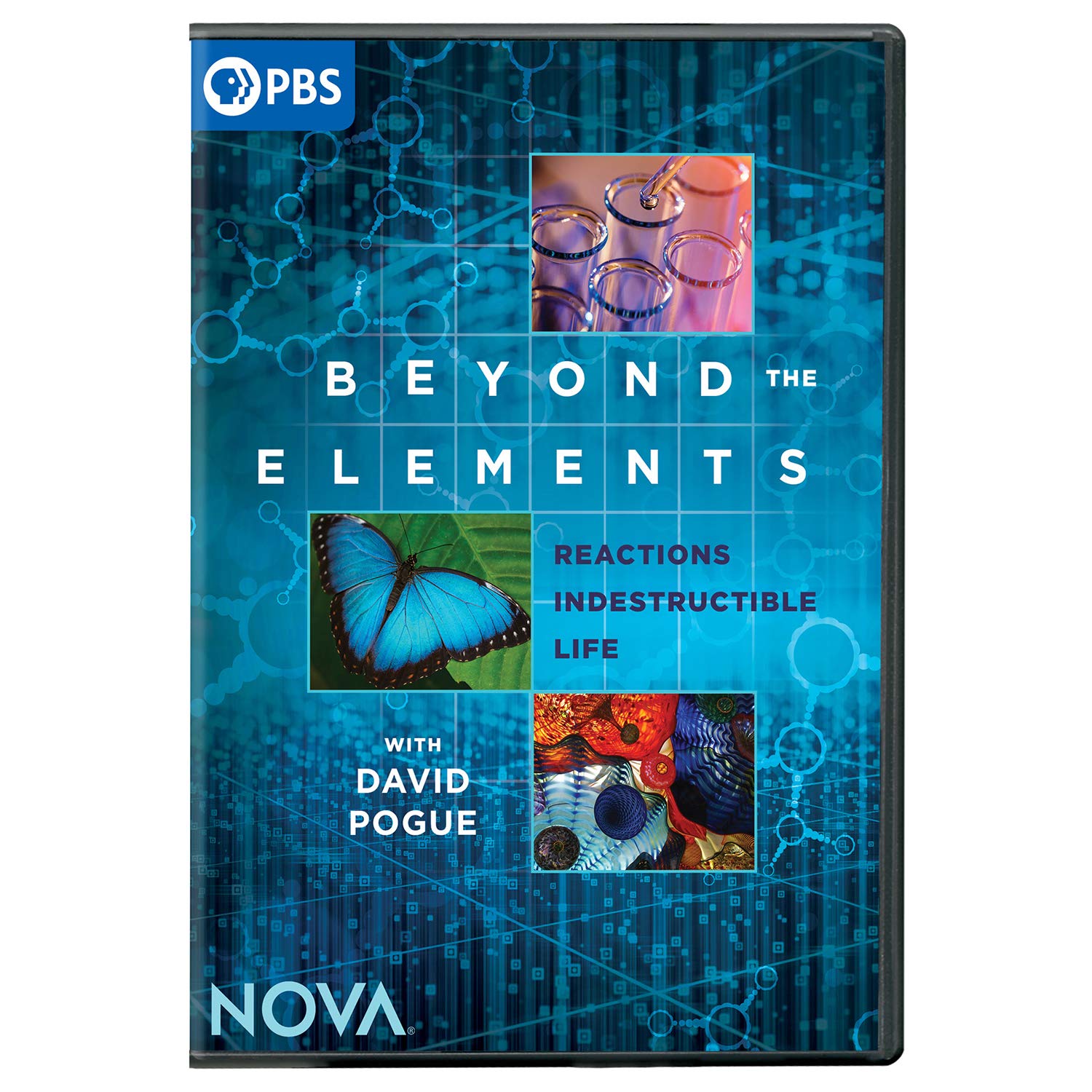 Nova: Beyond the Elements (DVD)