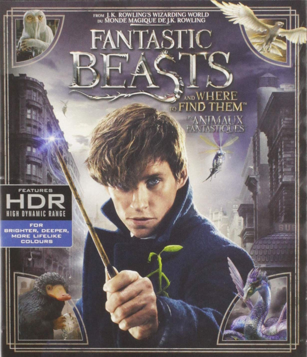 Fantastic Beasts and Where to Find Them (4K Ultra HD)