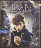 Fantastic Beasts and Where to Find Them (4K Ultra HD)