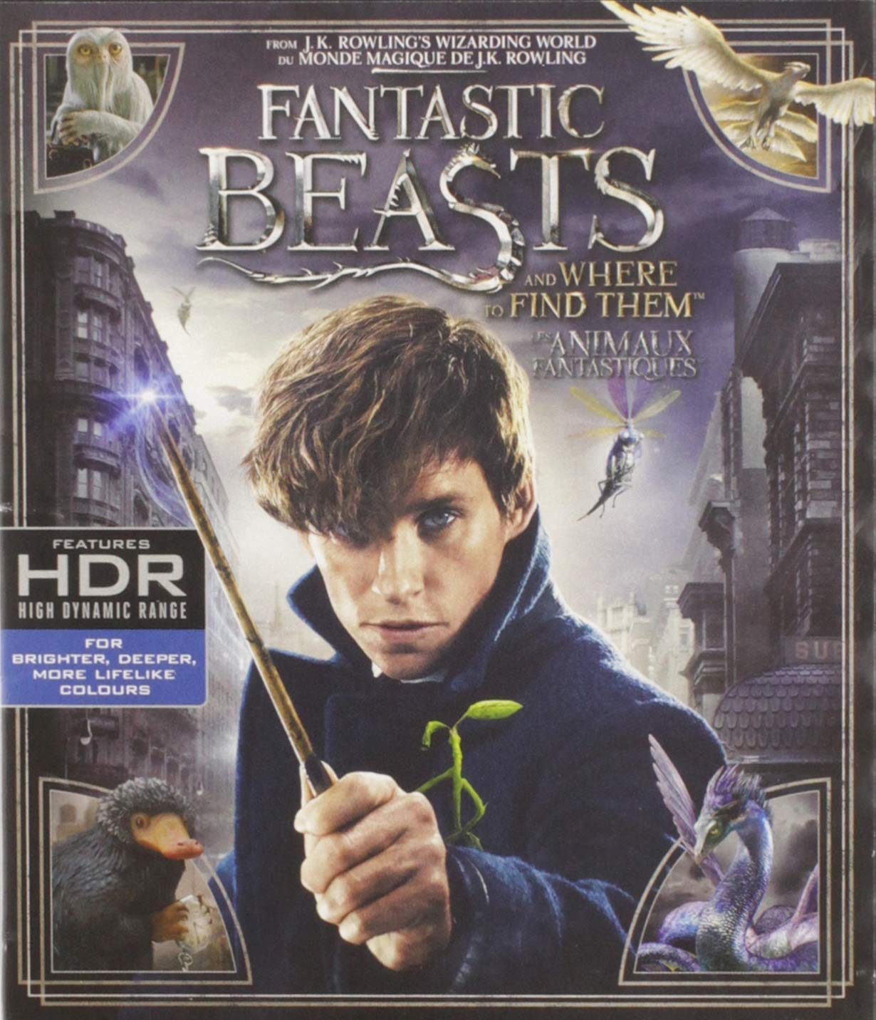 Fantastic Beasts and Where to Find Them (4K Ultra HD)