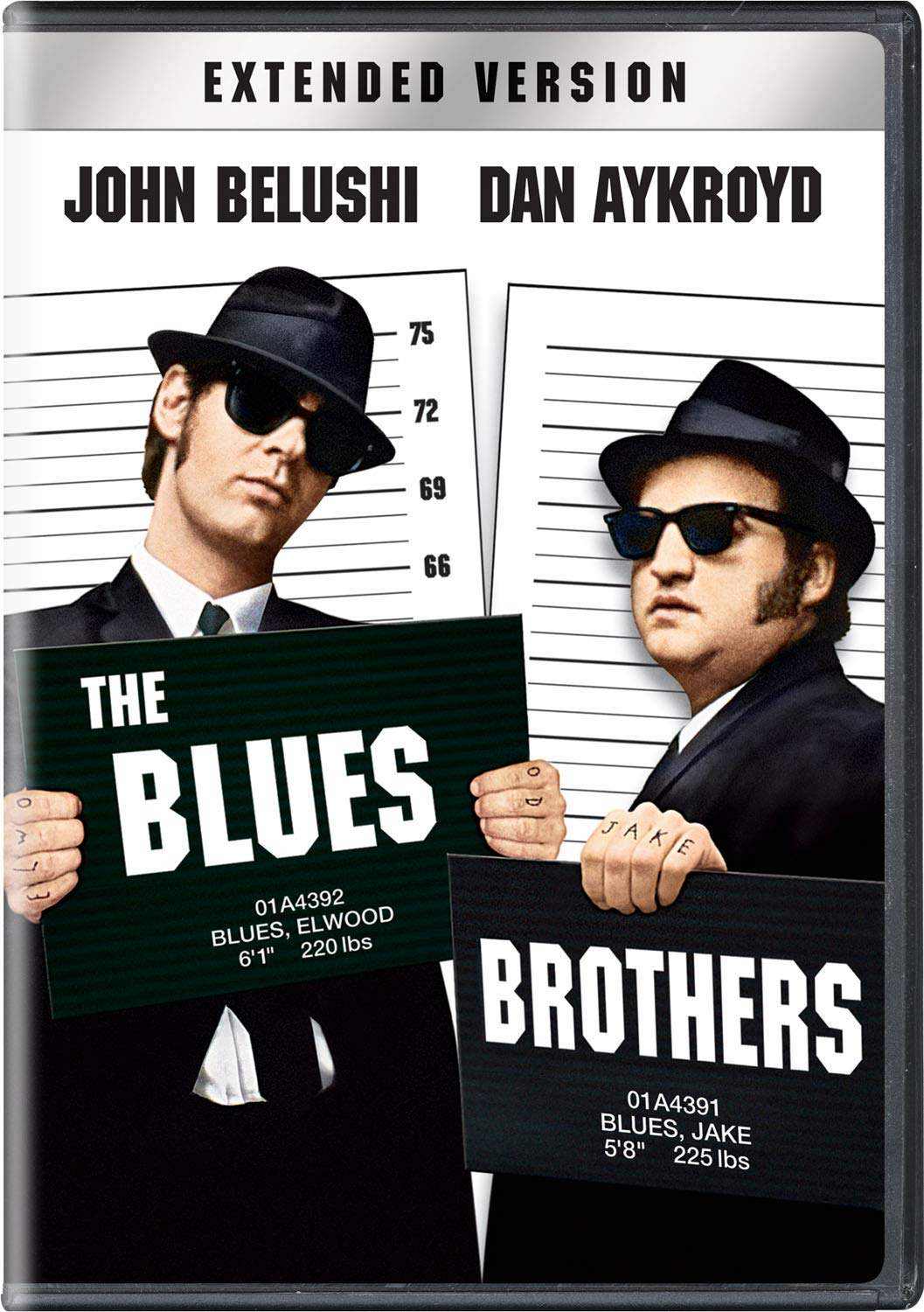Blues Brothers (DVD)