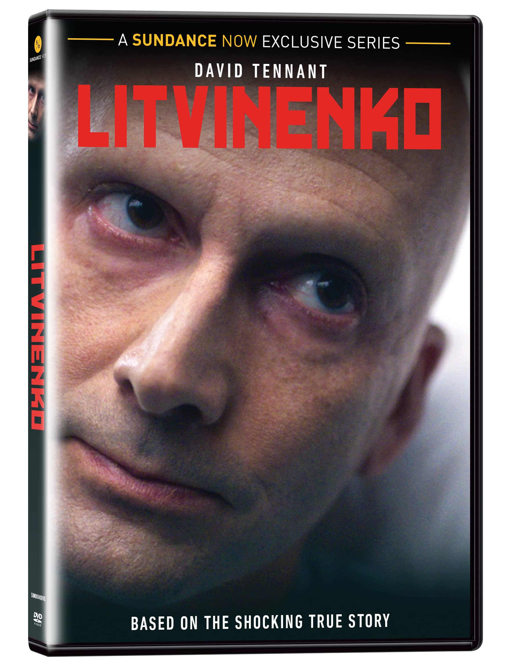 Litvinenko (DVD)