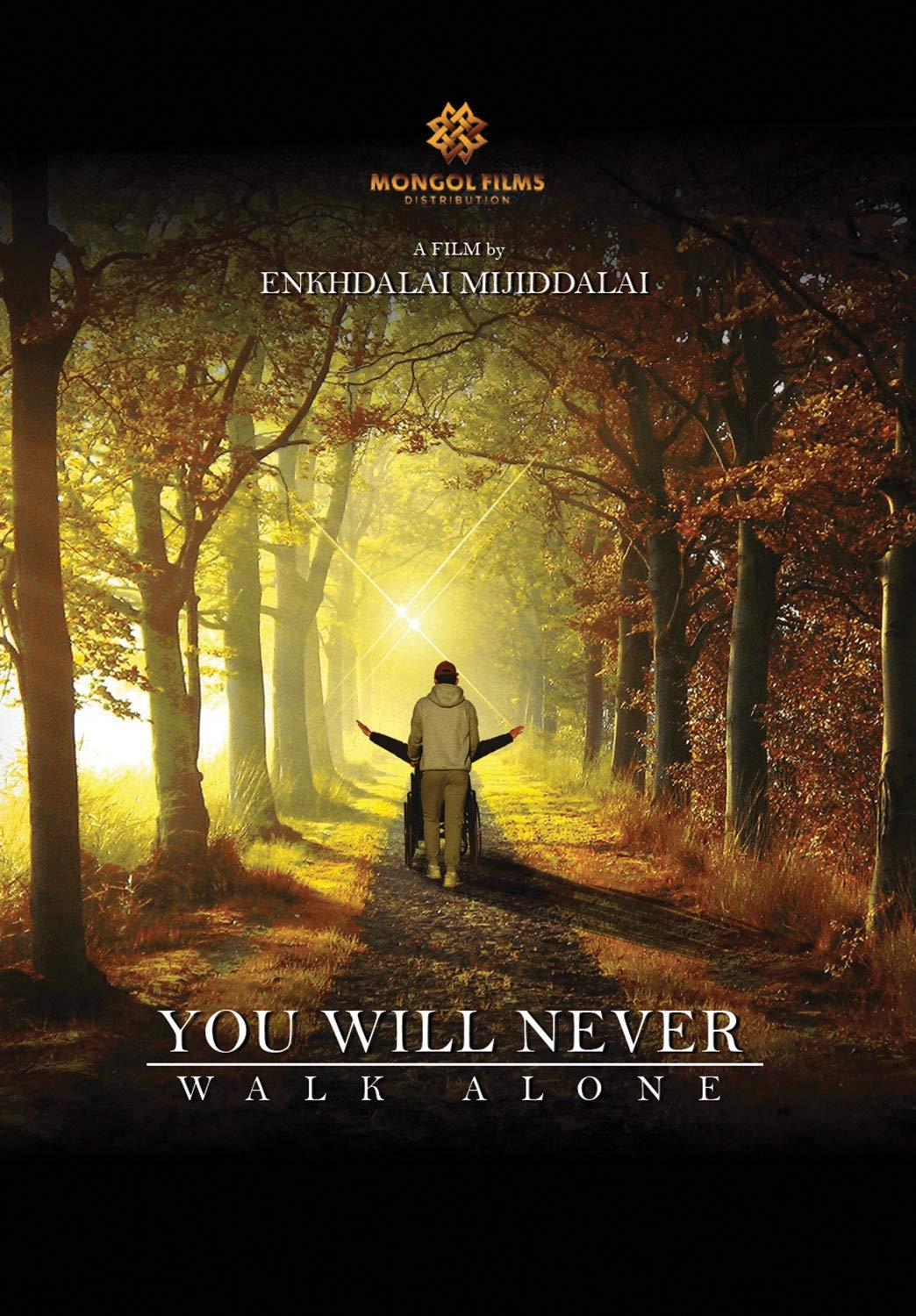 You Will Never Walk Alone (DVD)