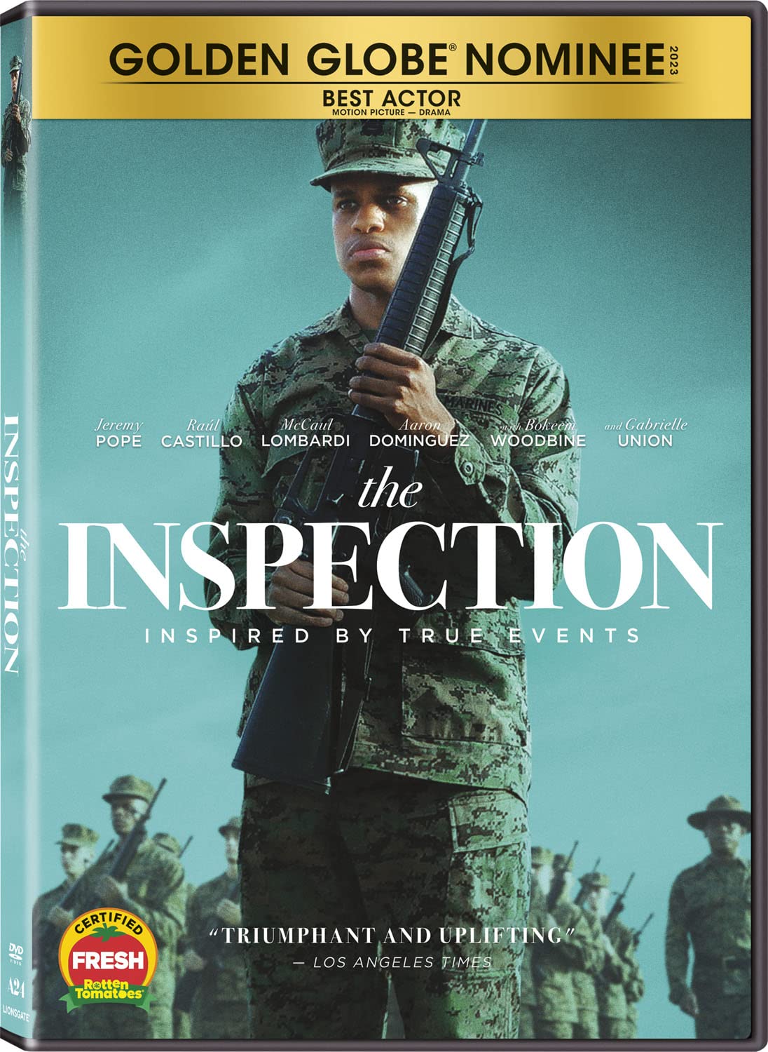 Inspection (DVD)