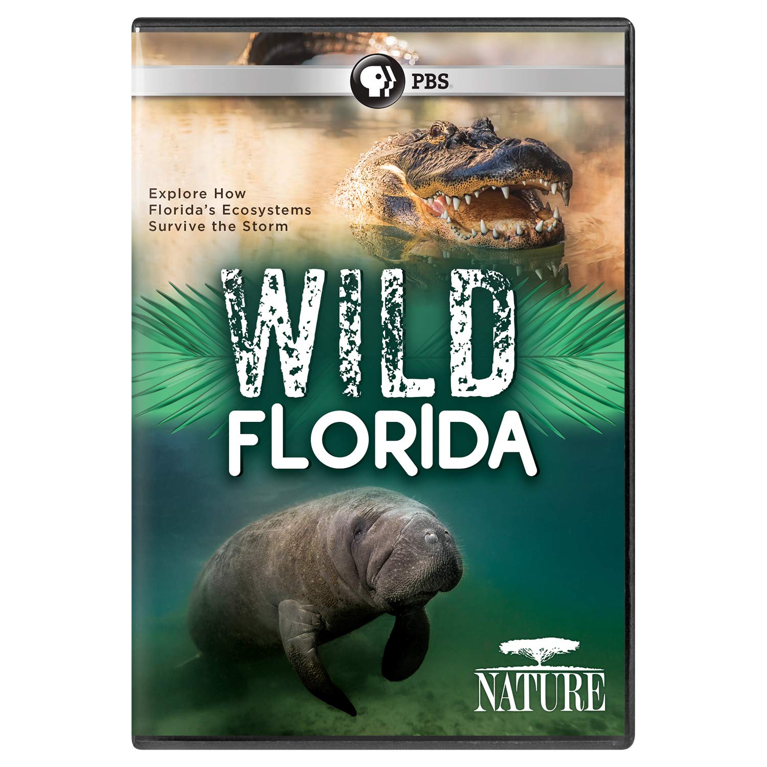 Nature: Wild Florida (DVD)
