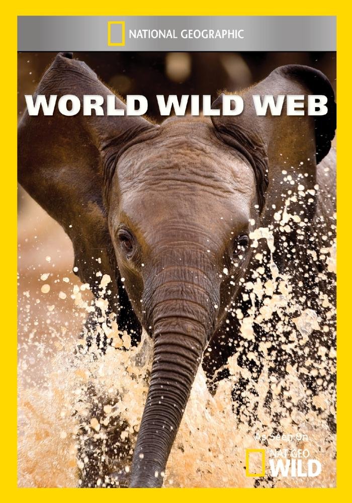 World Wild Web (DVD)