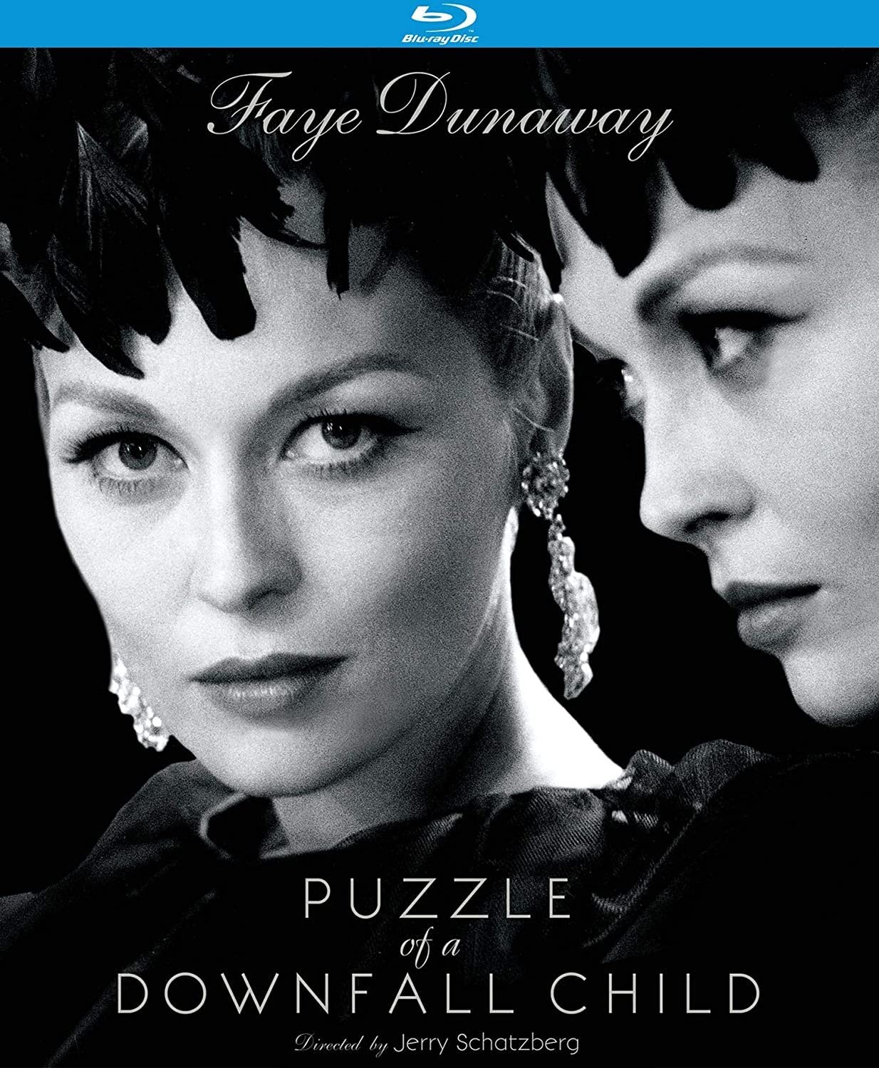 Puzzle of A Downfall Child (Blu-ray)