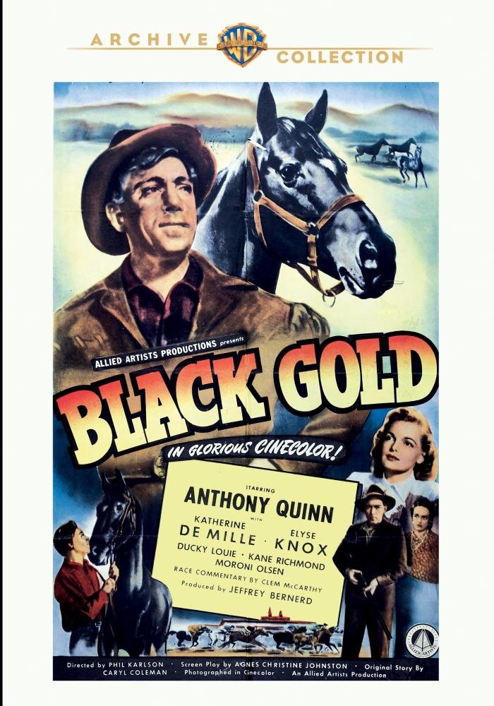 Black Gold (DVD)