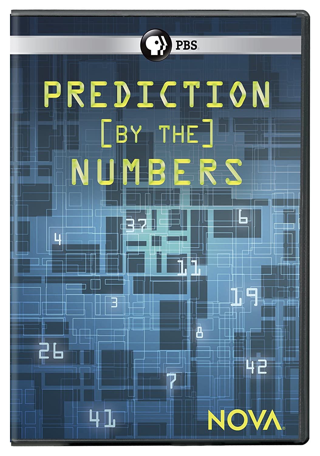Nova: Prediction by the Numbers (DVD)