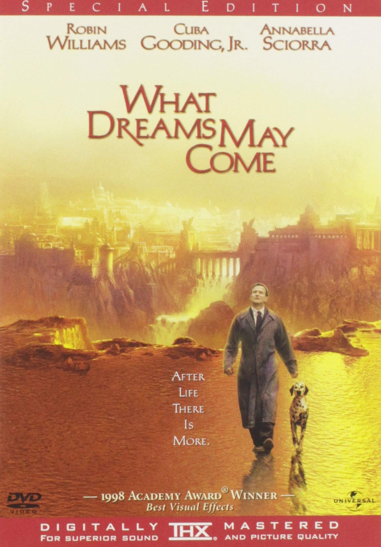 What Dreams May Come (DVD)