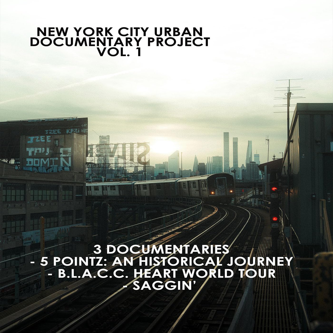 NEW YORK CITY URBAN DOCUMENTARY PROJECT VOL 1 (DVD)