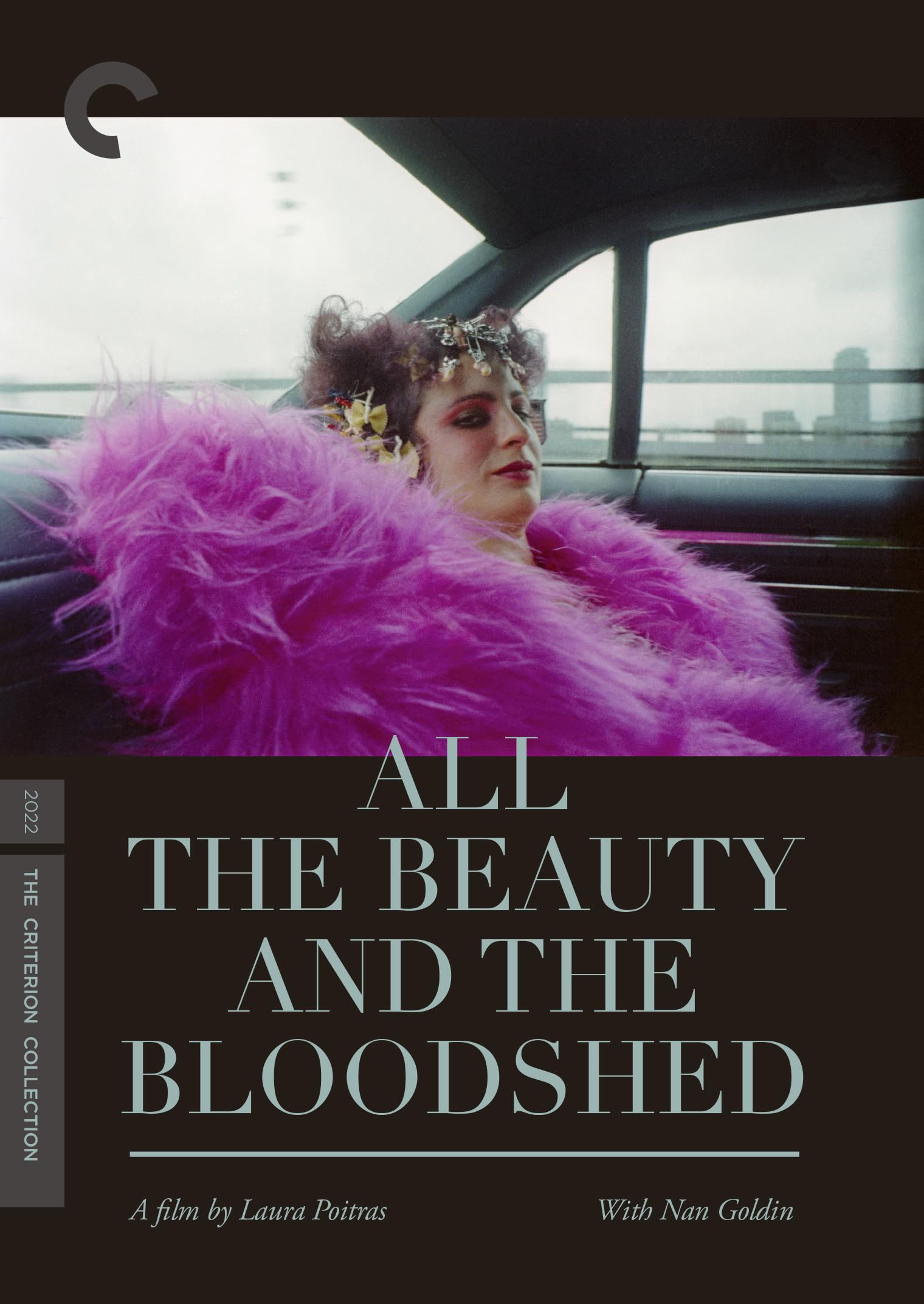 All the Beauty and the Bloodshed (DVD)