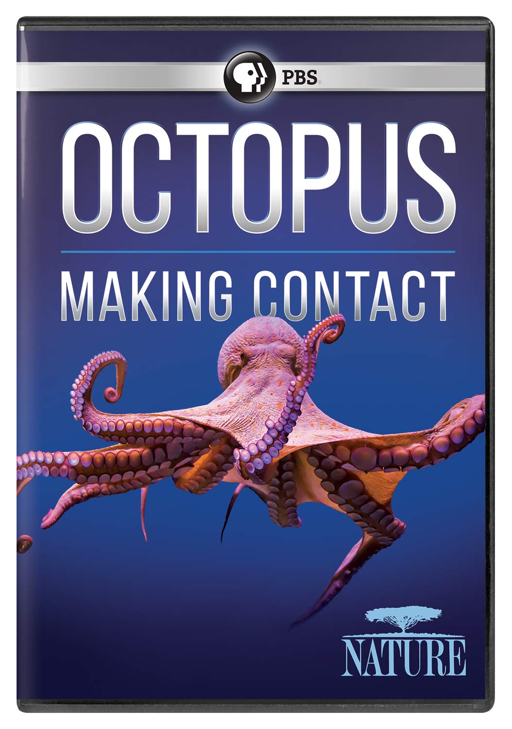 Nature: Octopus: Making Contact (DVD)