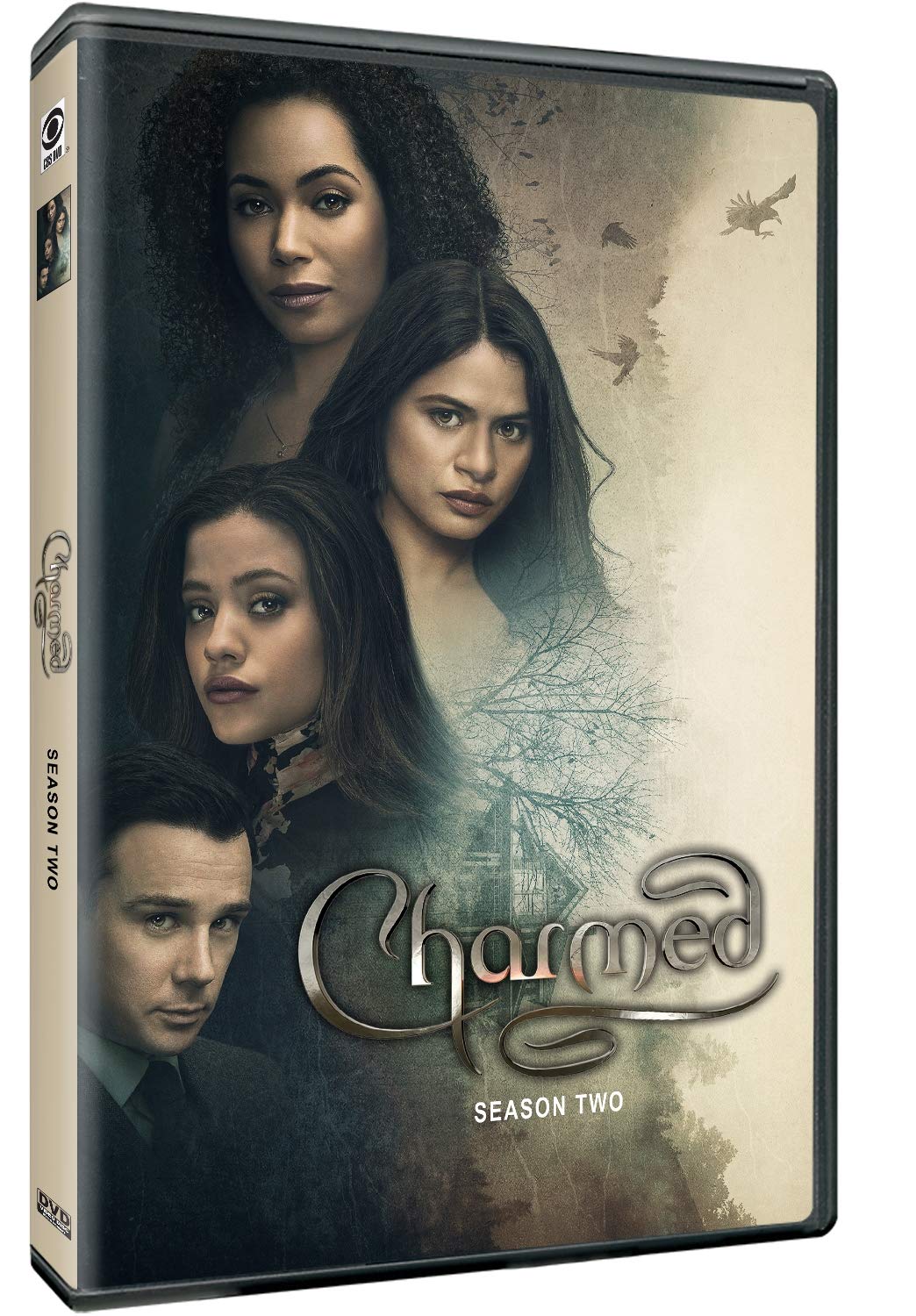 Charmed: Season 2 (DVD)