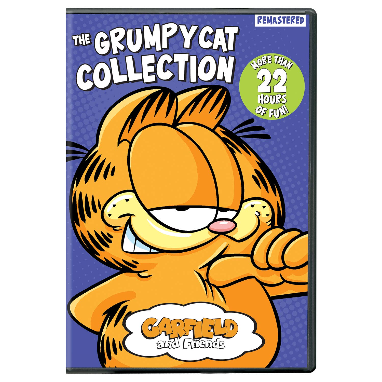 Garfield & Friends-The Grumpy Cat Collection (DVD)