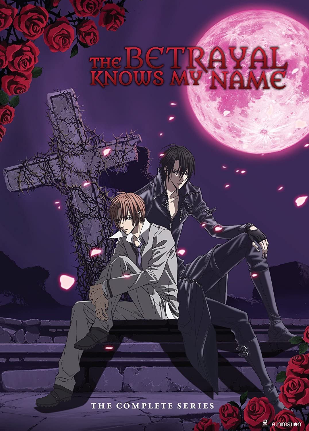 The Betrayal Knows My Name: The Complete Series (DVD)