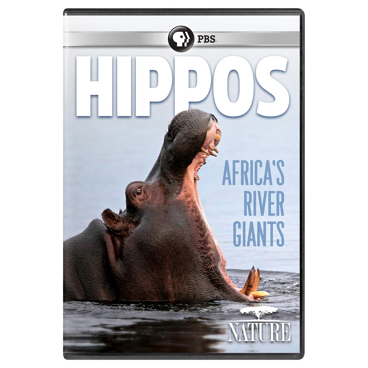 Nature: Hippos: Africa's River Giants (DVD)