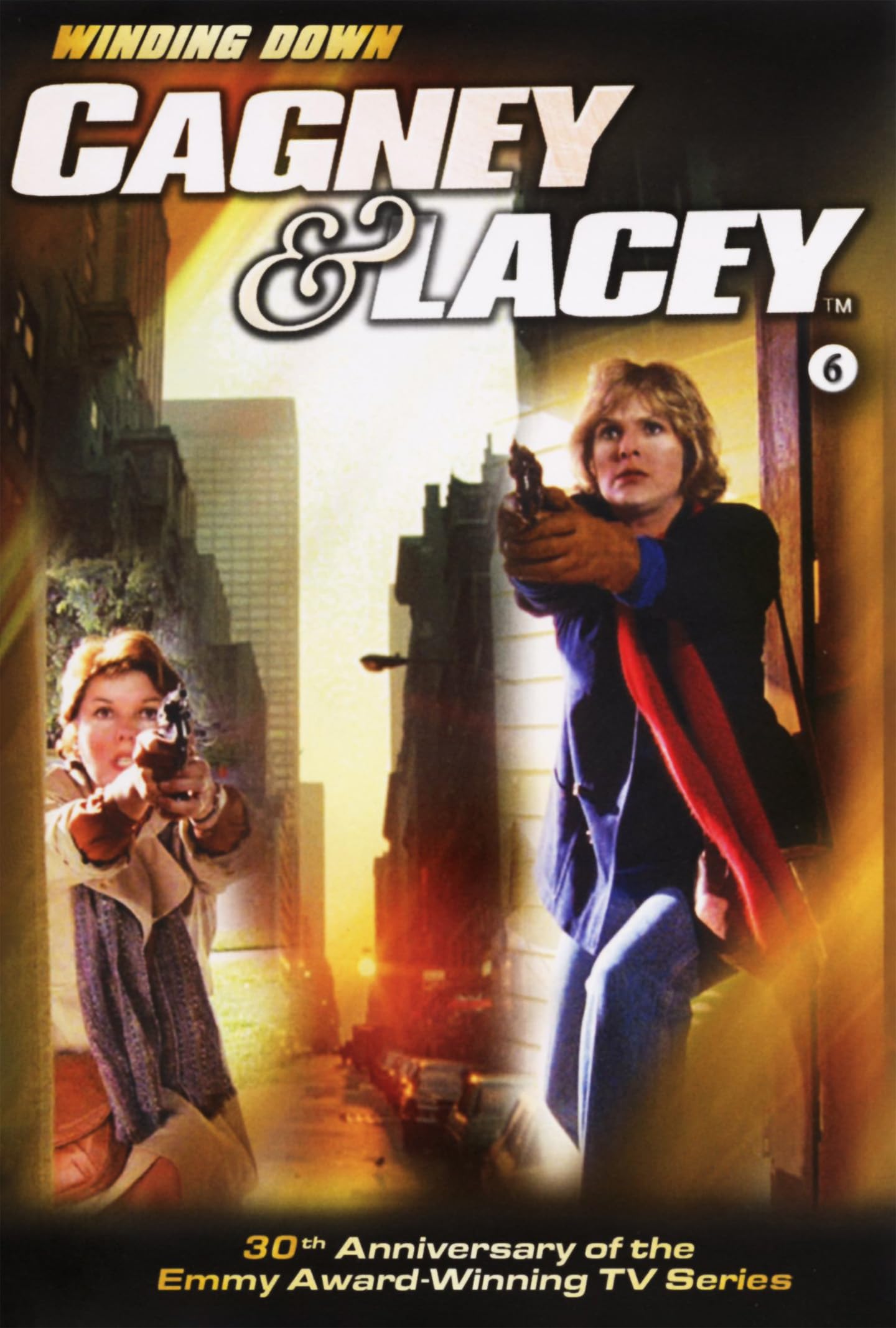 Cagney & Lacey: Comp Season 6 (DVD)