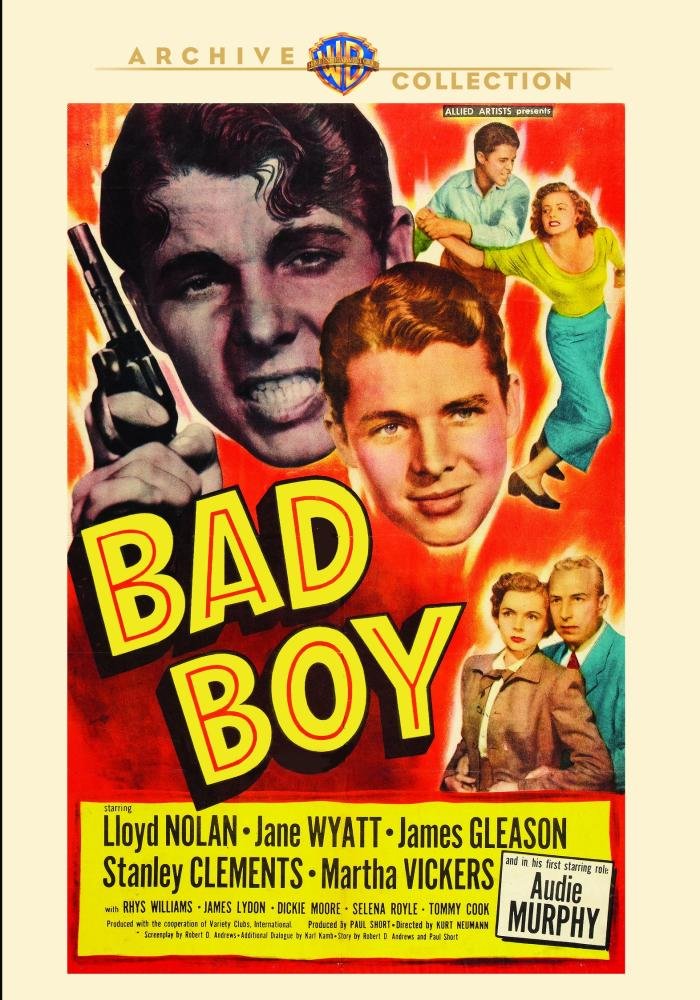 Bad Boy (DVD)