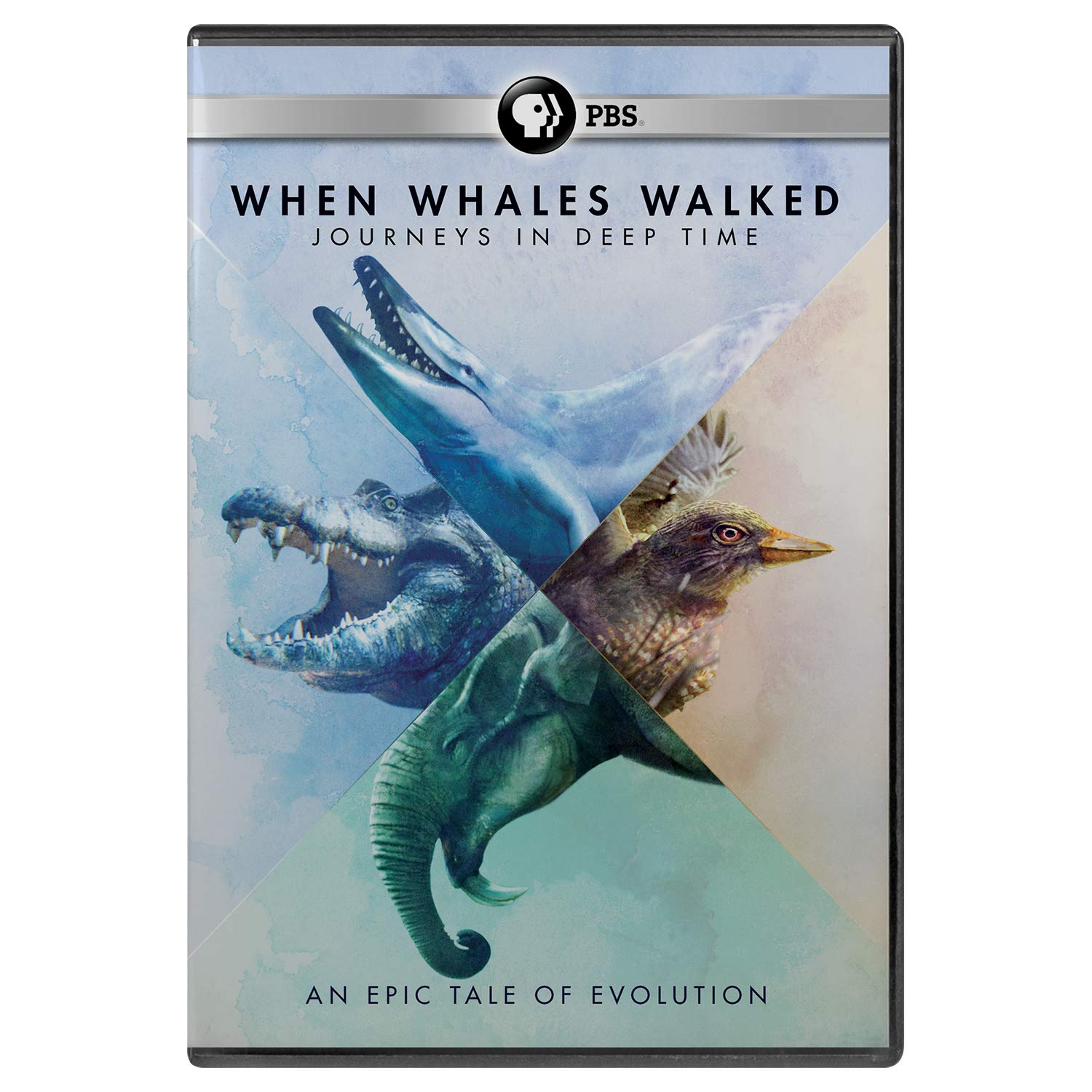 When Whales Walked: A Deep Time Journey (DVD)
