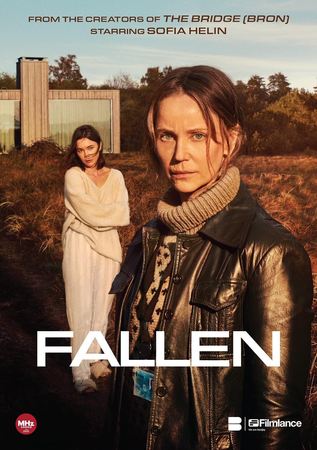 Fallen (DVD)
