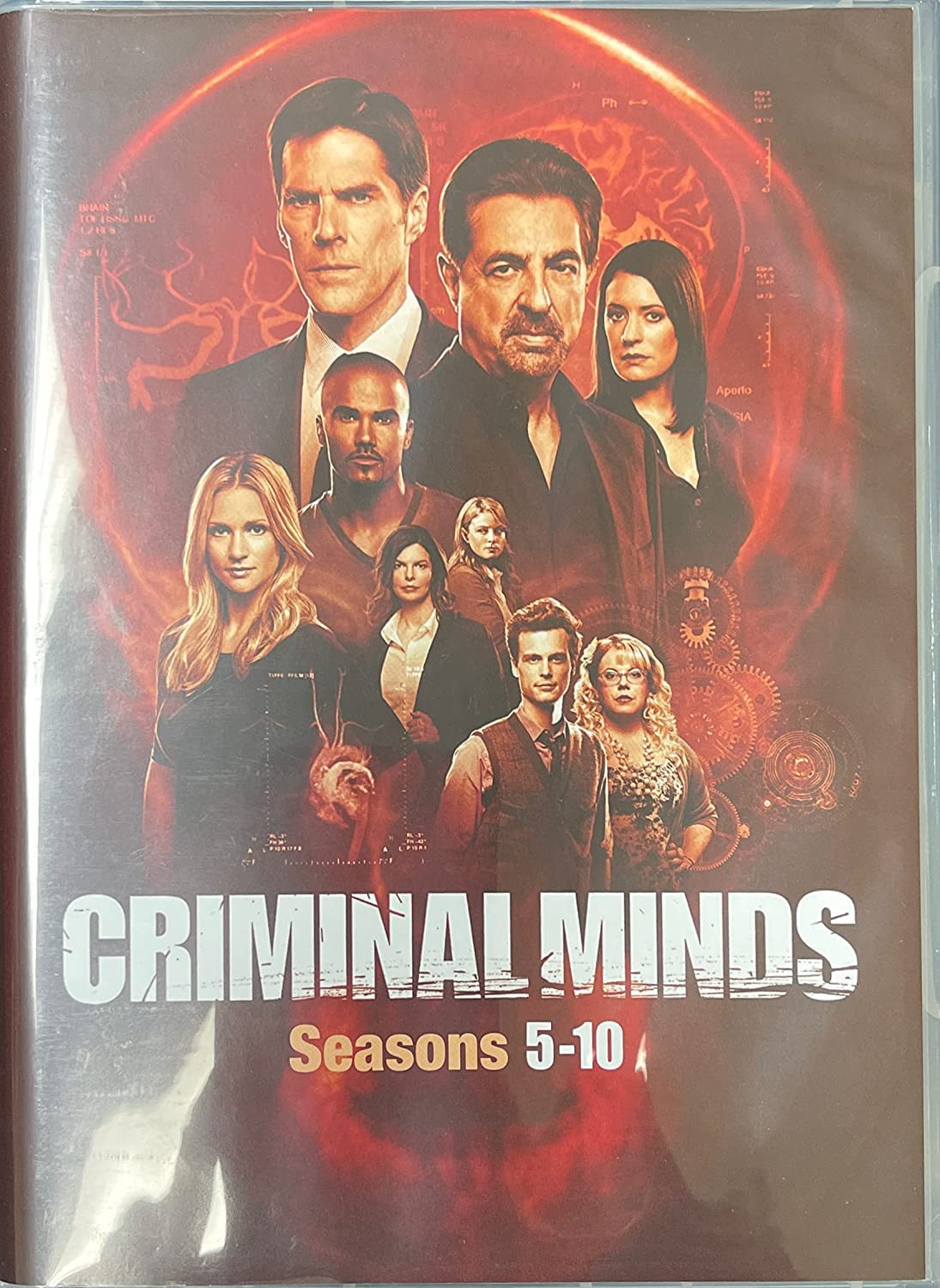 Criminal Minds: Seasons 5-10 (DVD)