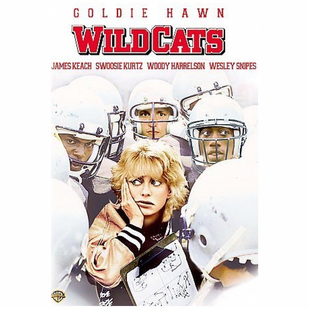 Wildcats of St Trinians (DVD)