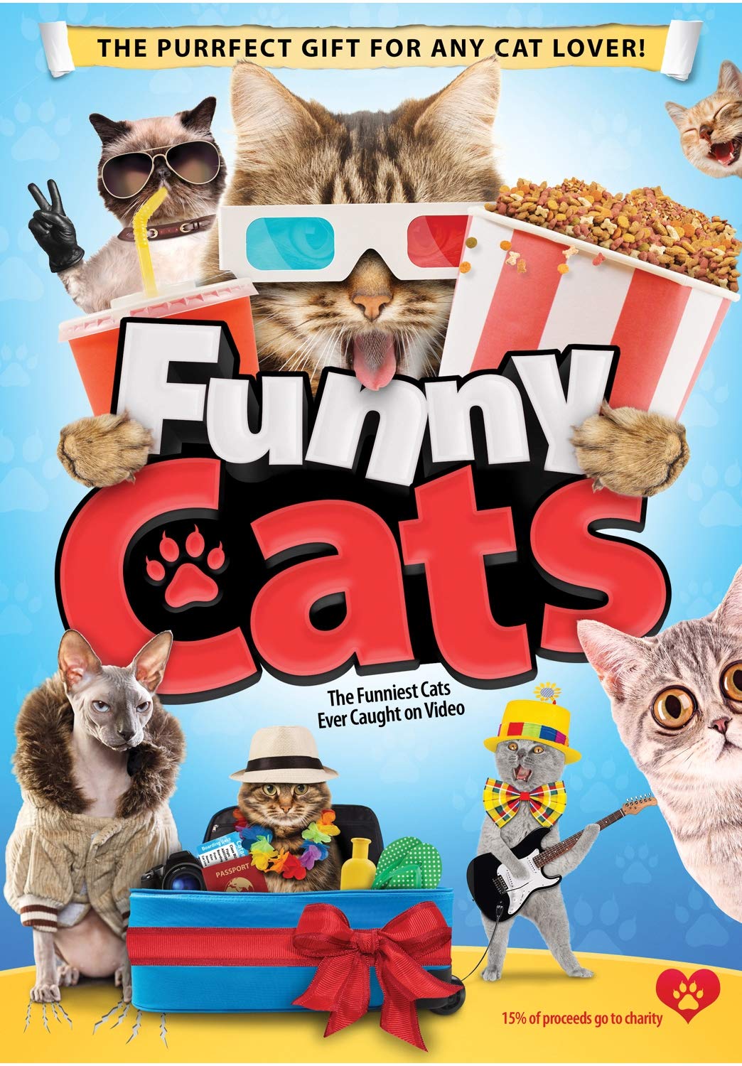 Funny Cats (DVD)