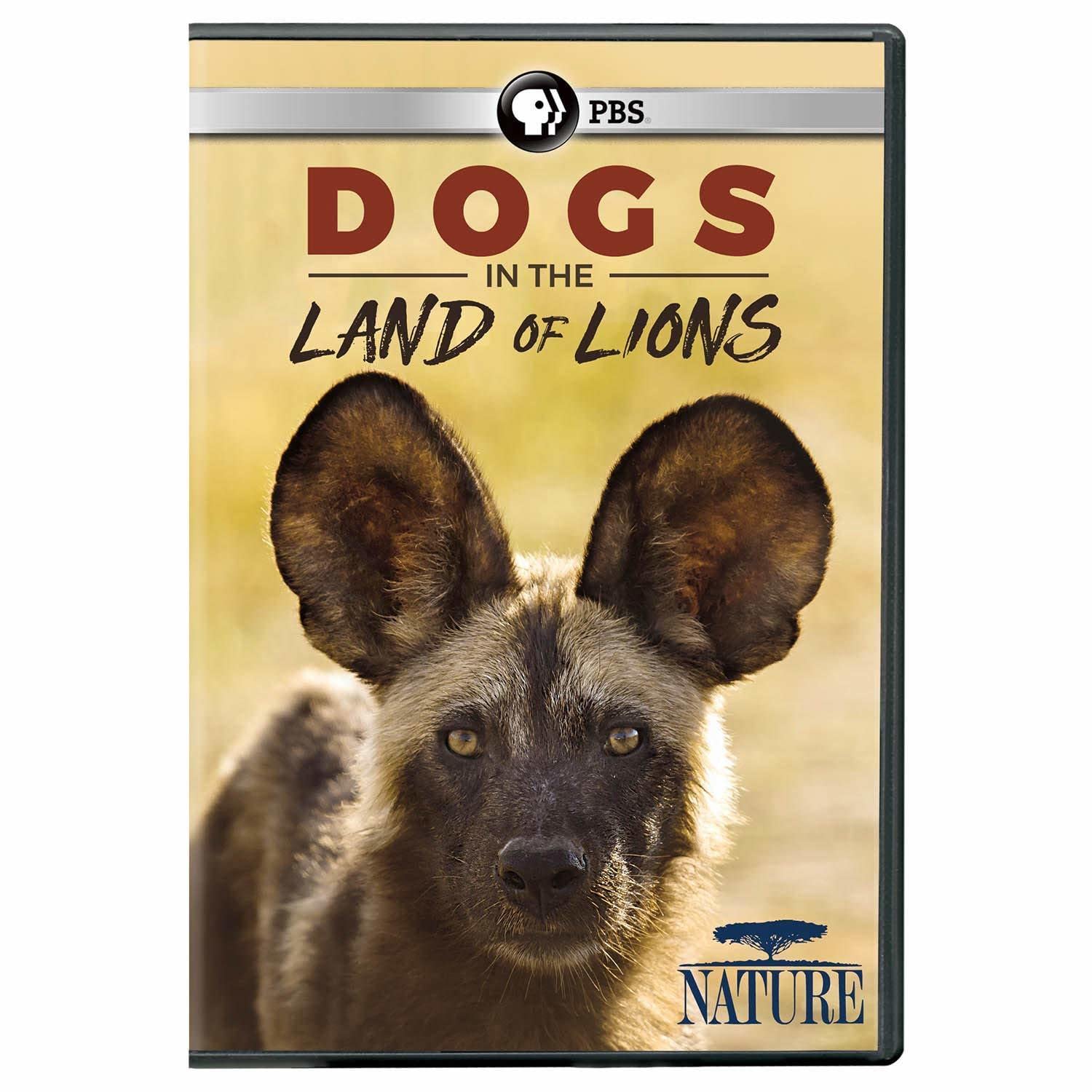 Nature: Dogs in the Land of Lions (DVD)