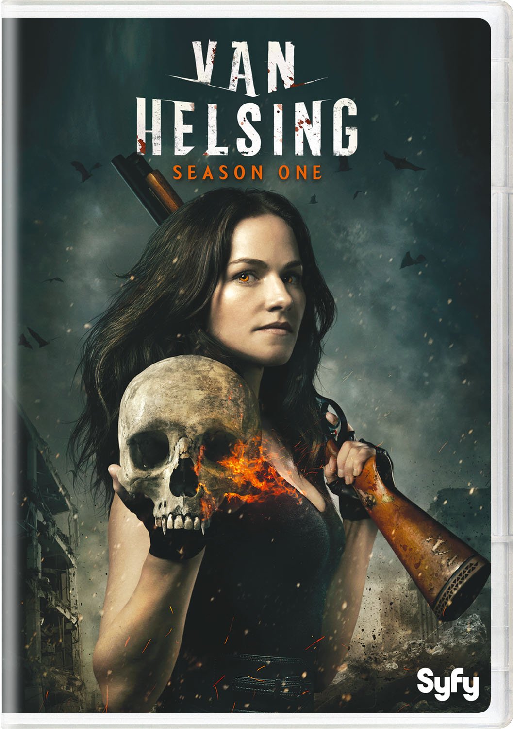Van Helsing: Season 1 (DVD)