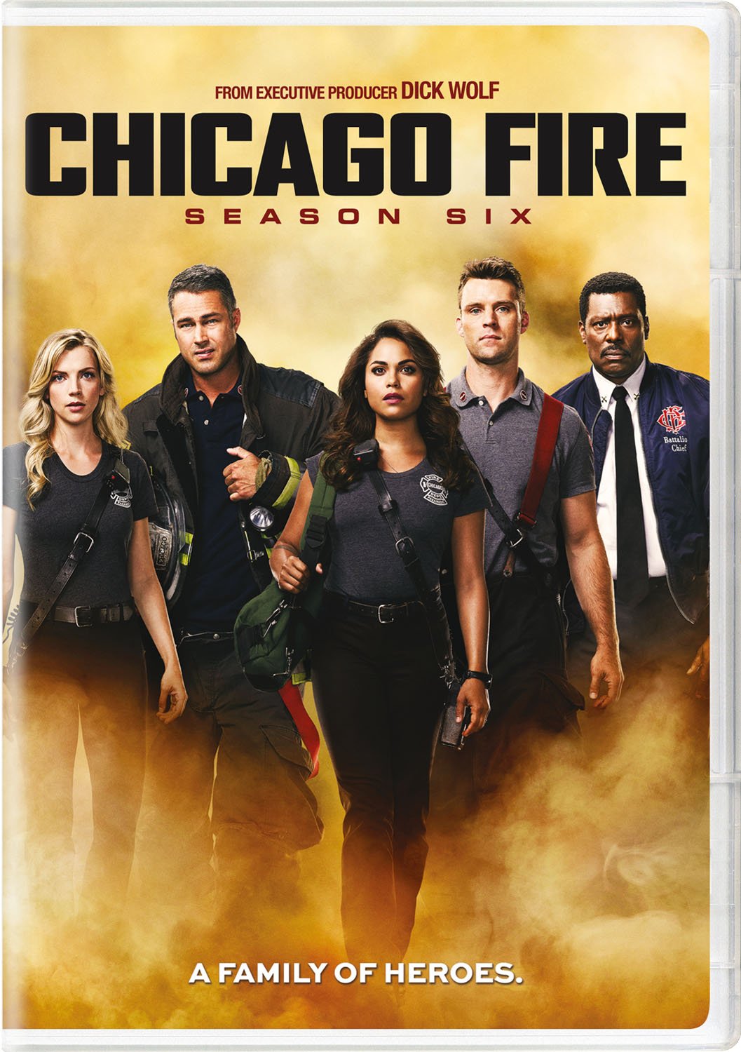 Chicago Fire: Season 6 (DVD)