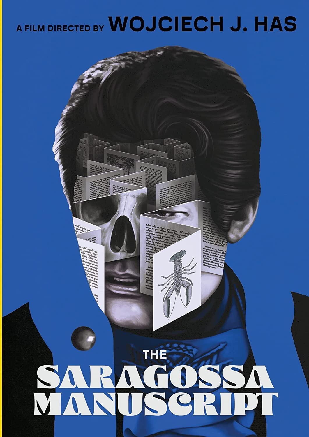 Saragossa Manuscript (DVD)