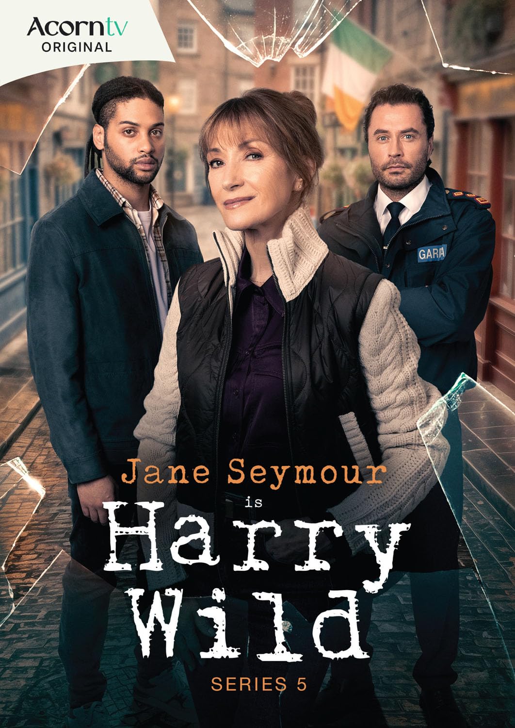 Harry Wild: Series 5 (DVD)