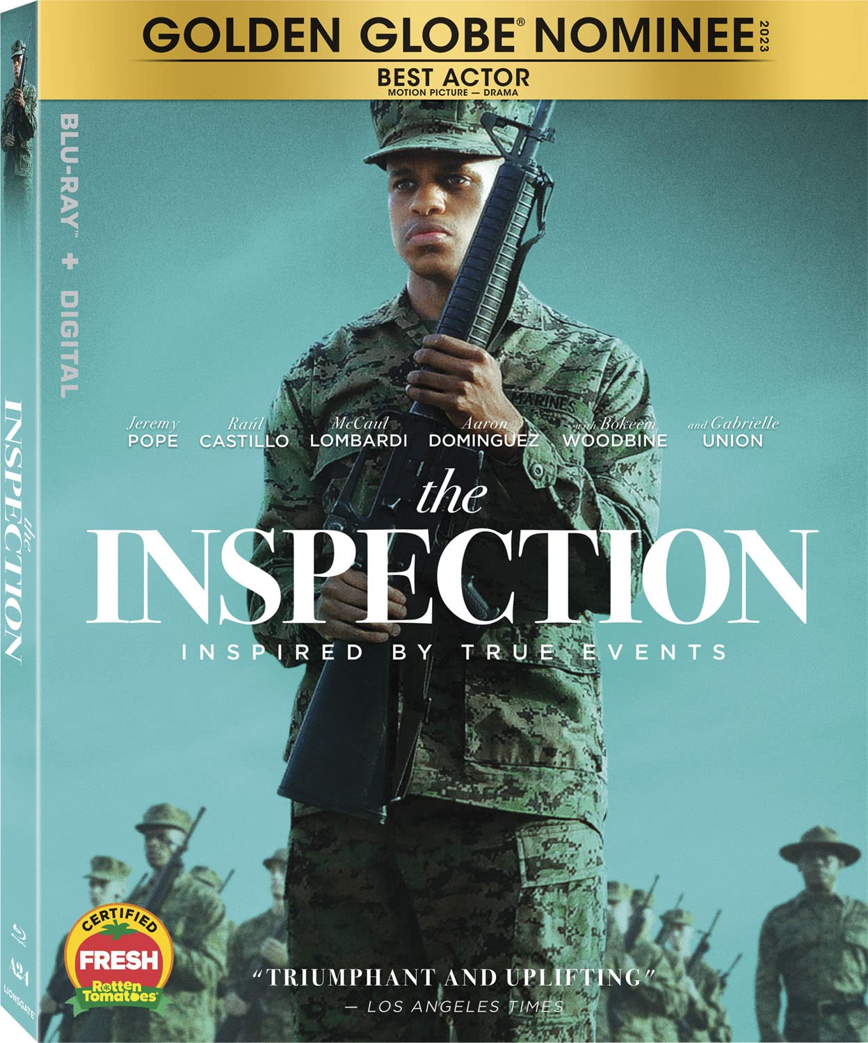 Inspection (Blu-ray)