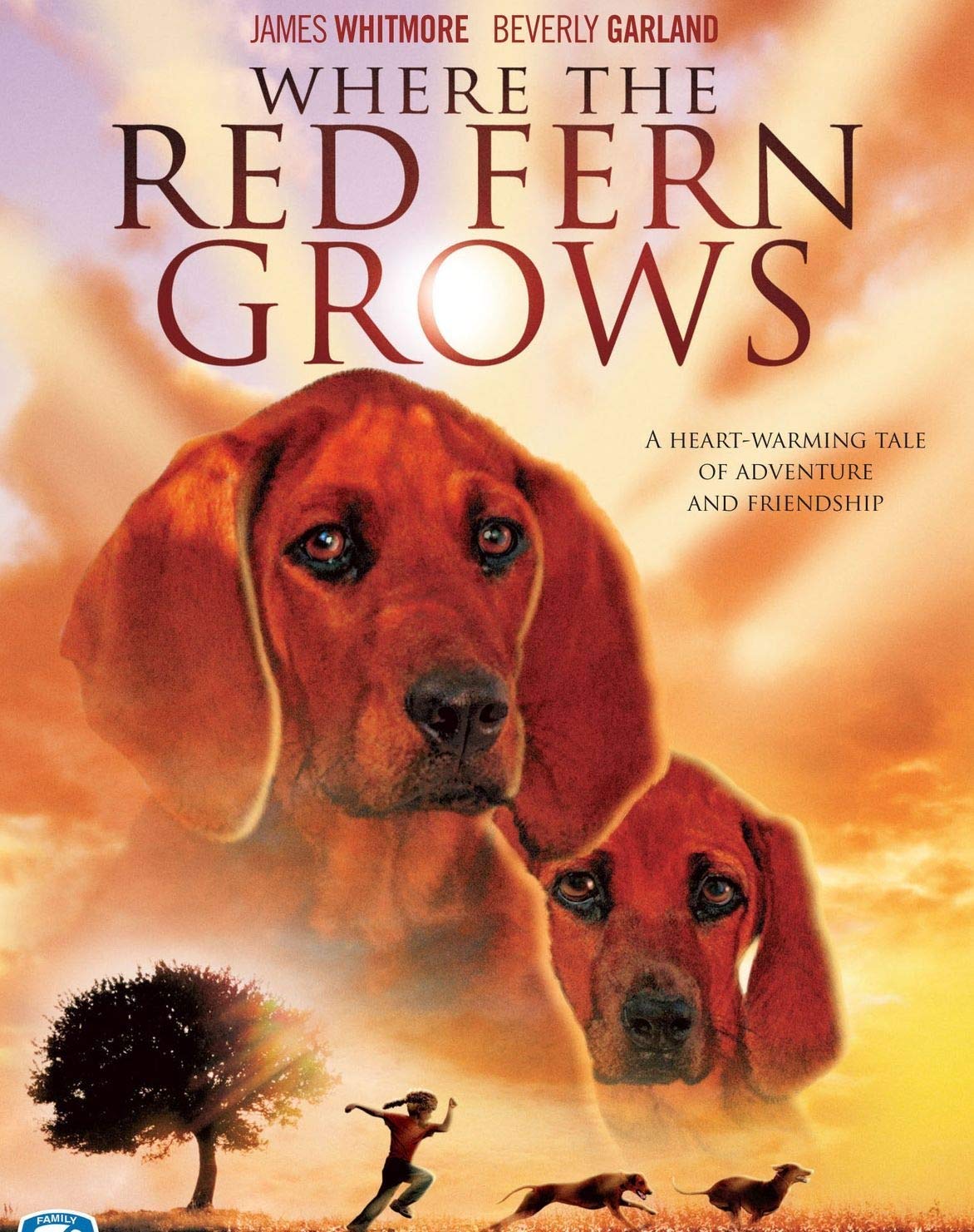 Where the Red Fern Grows: Part 1 (DVD)