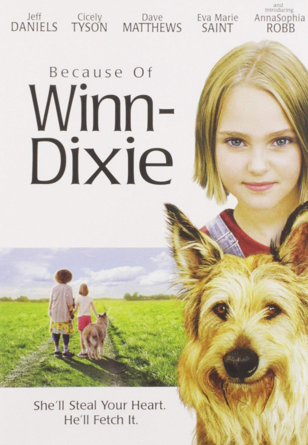 Because of Winn Dixie (DVD)
