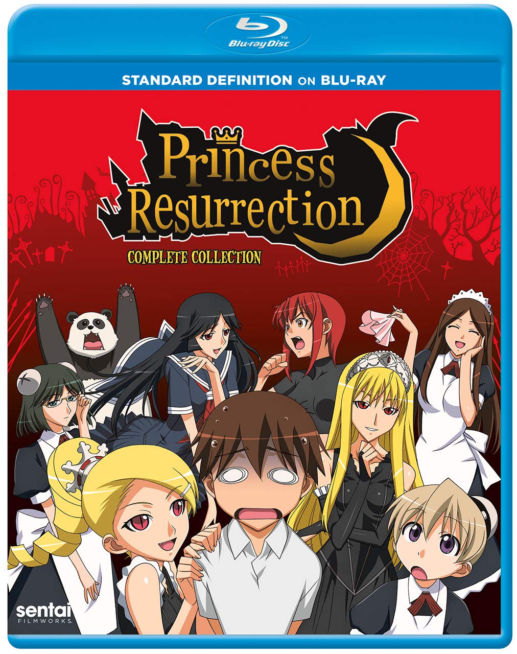Princess Resurrection (Blu-ray)