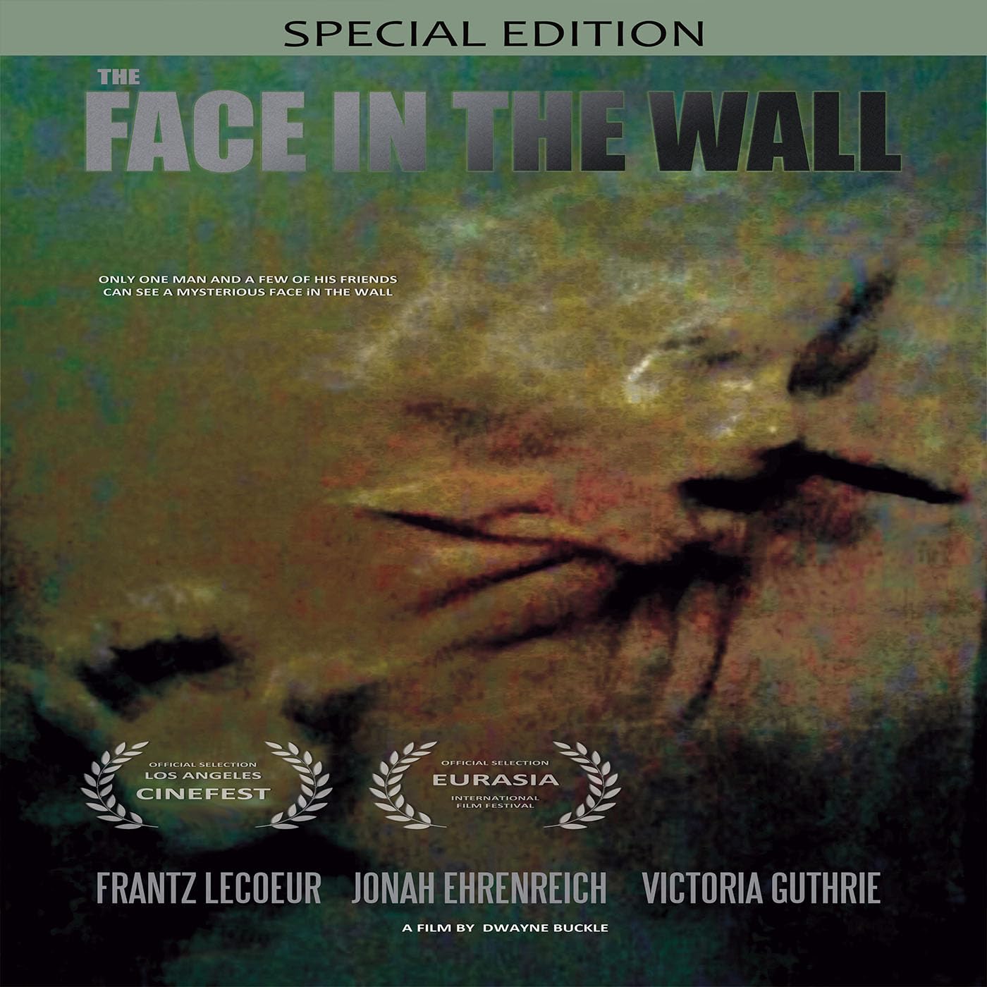 FACE IN THE WALL (DVD)