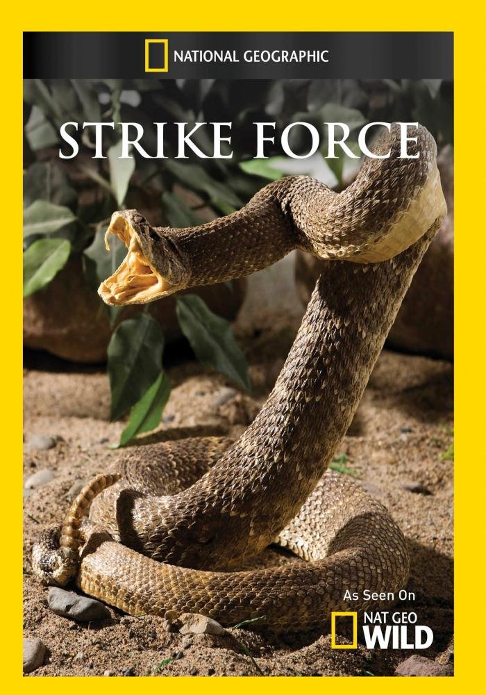 Strike Force (DVD ) (DVD)