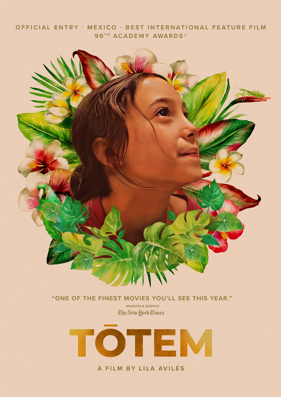 Totem (DVD)