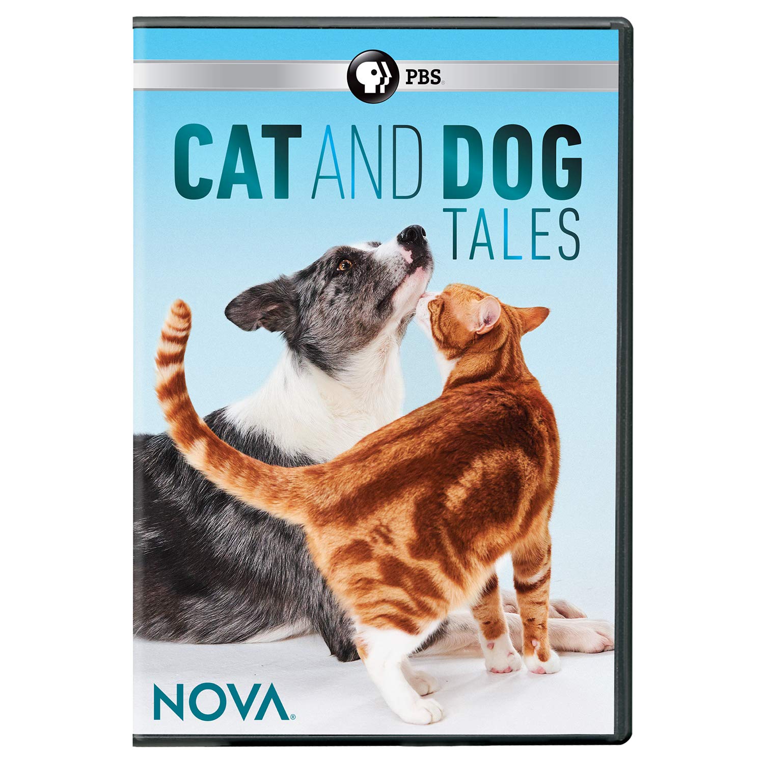Nova: Cat and Dog Tales (DVD)