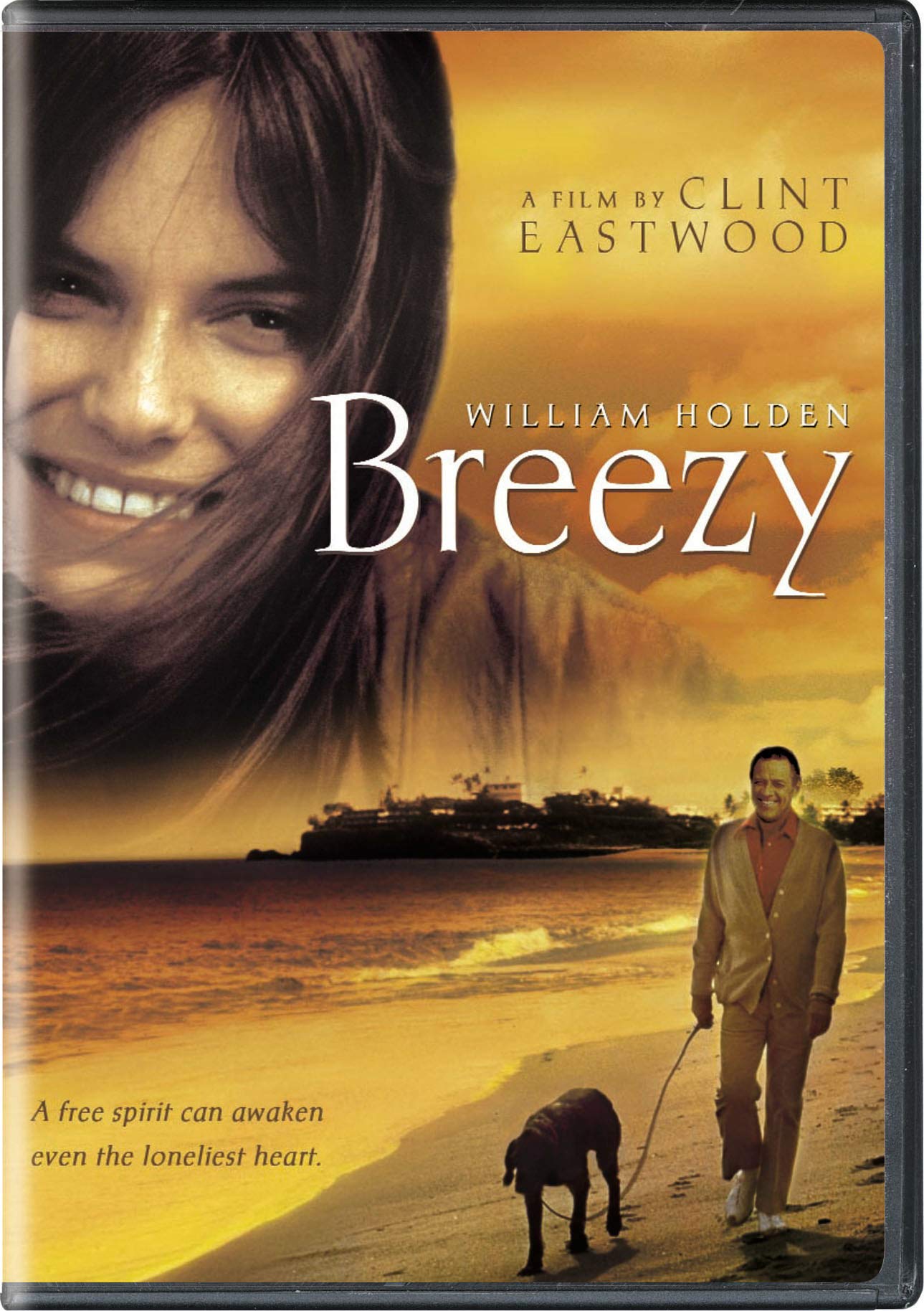 Breezy (DVD)