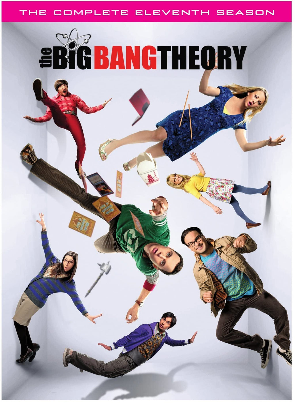 The Big Bang Theory: Season 11 (DVD)