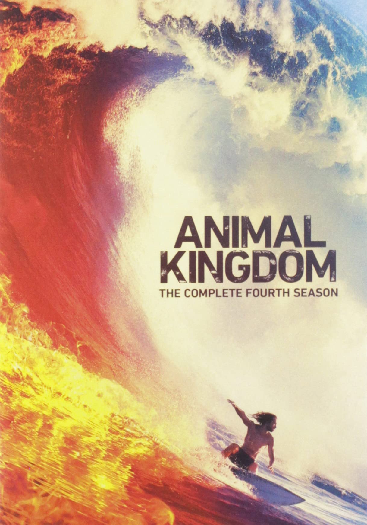 Animal Kingdom Season 4 (DVD)