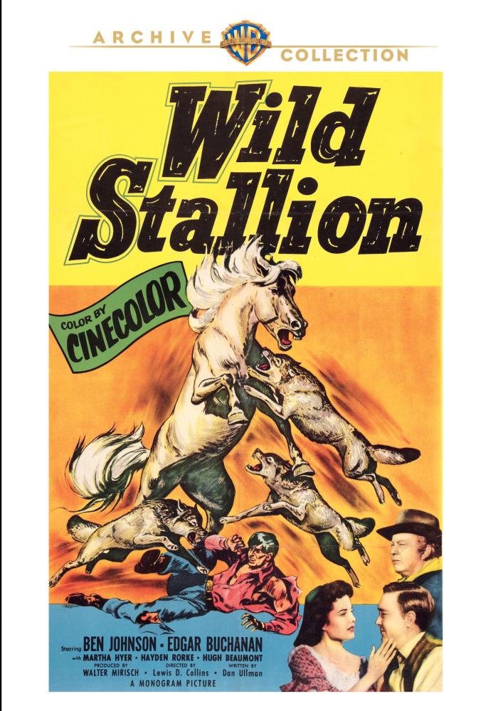 Wild Stallion (DVD)