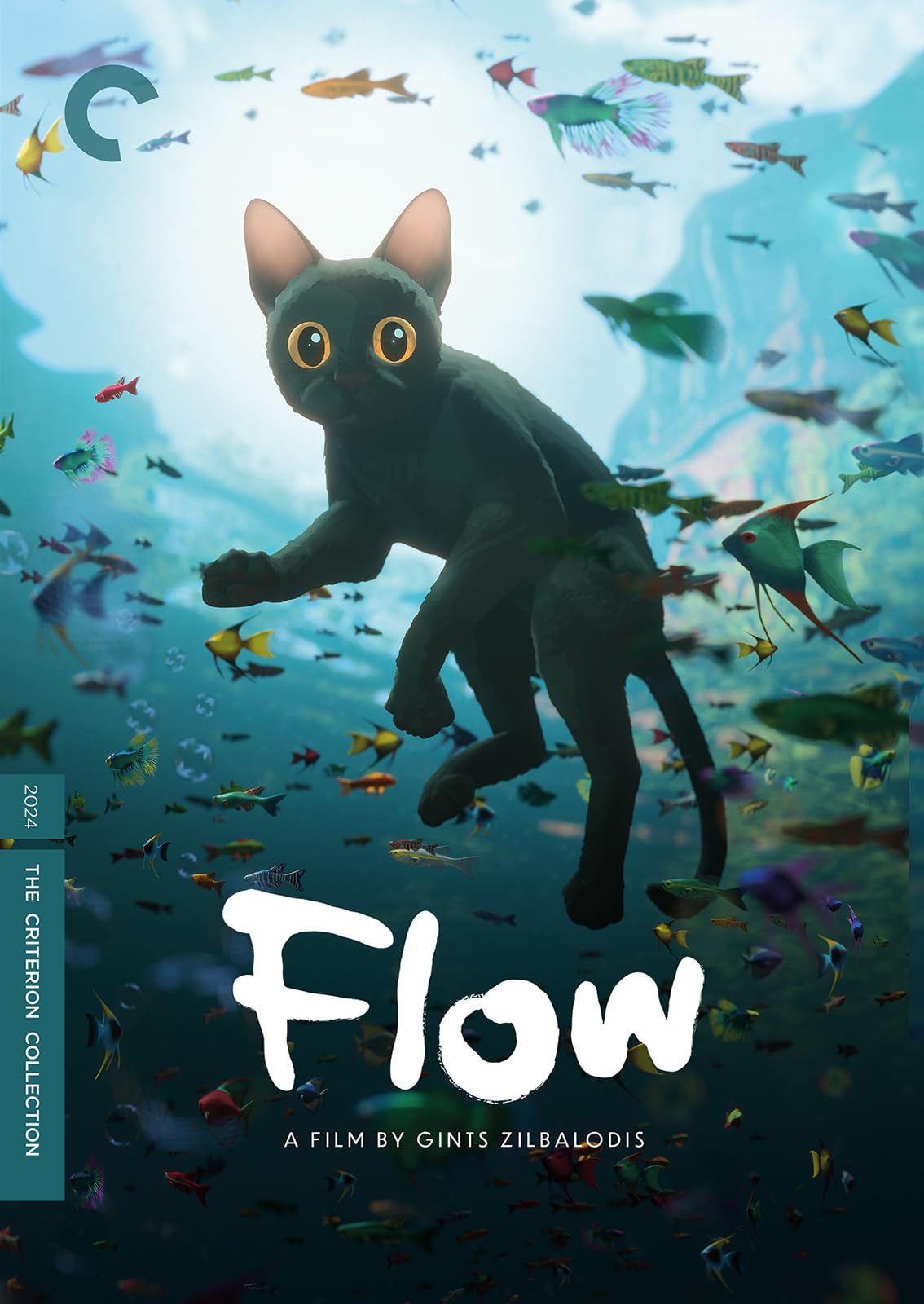 Flow (DVD)