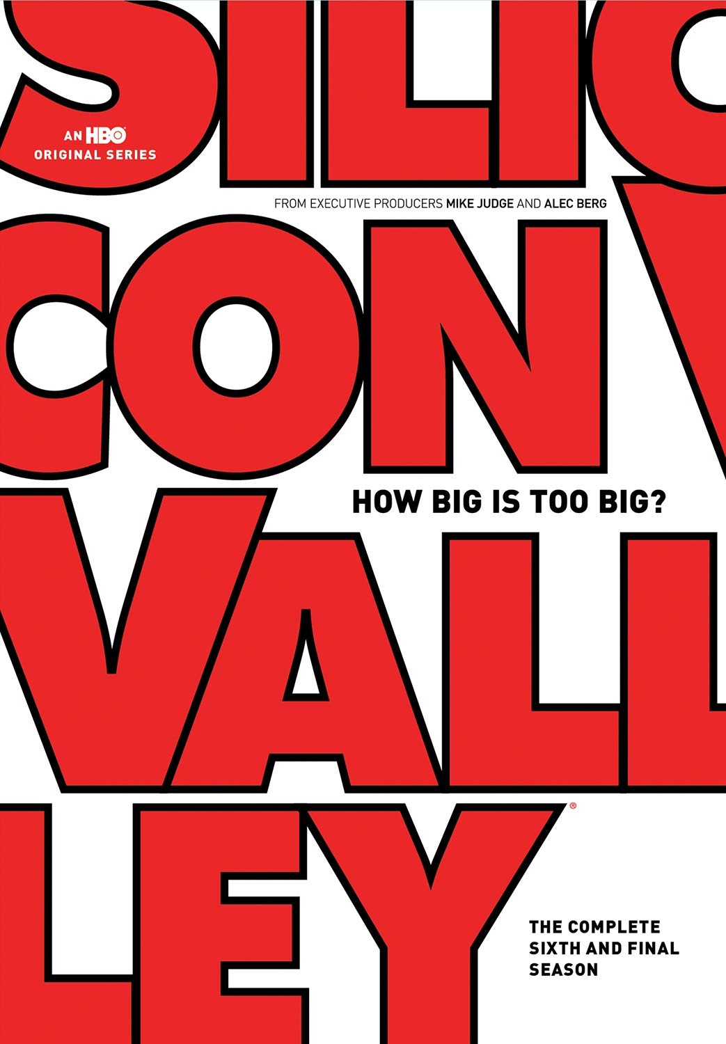 Silicon Valley: The Complete Sixth: Season (DVD)