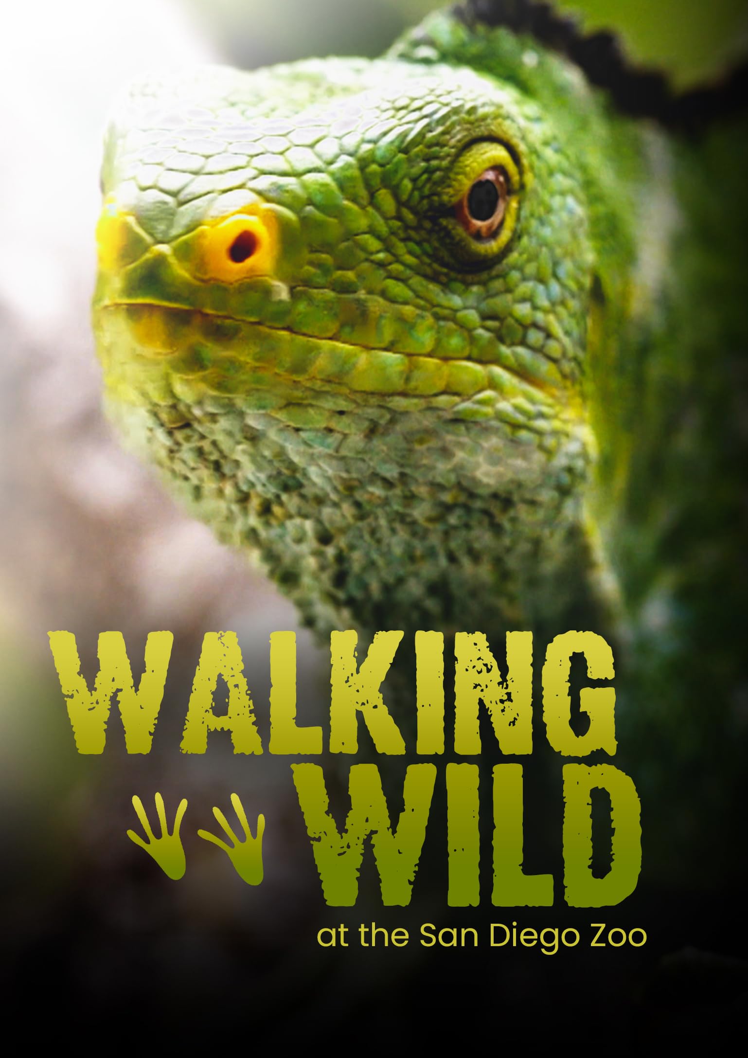 Walking Wild (DVD)