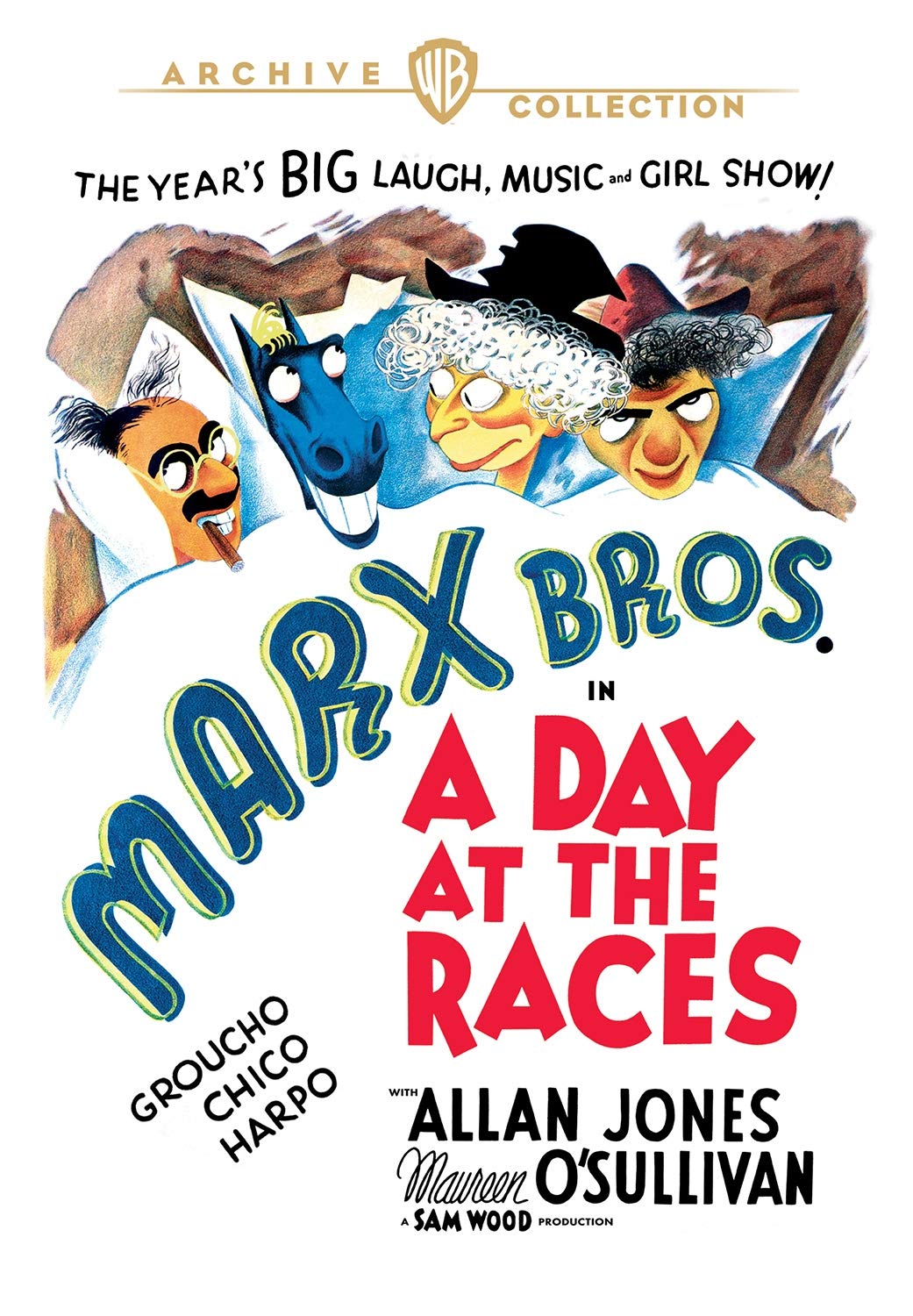 A Day at the Races (DVD)