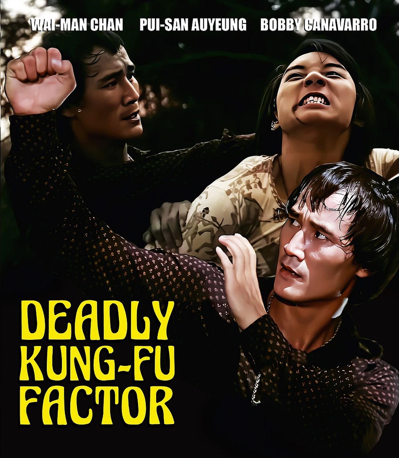 Deadly Kung-Fu Factor (Blu-ray)